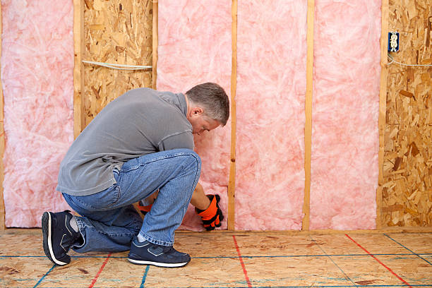 Best Insulation Maintenance and Repair in Naugatuck, CT